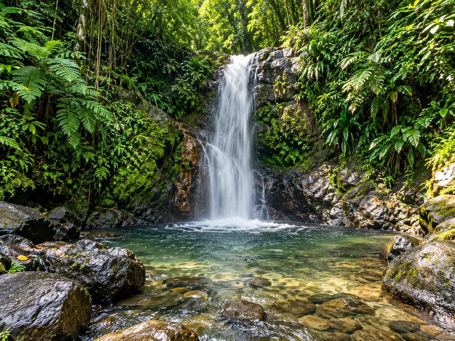 Waterfall falling into a clear rock pool in the rainforest